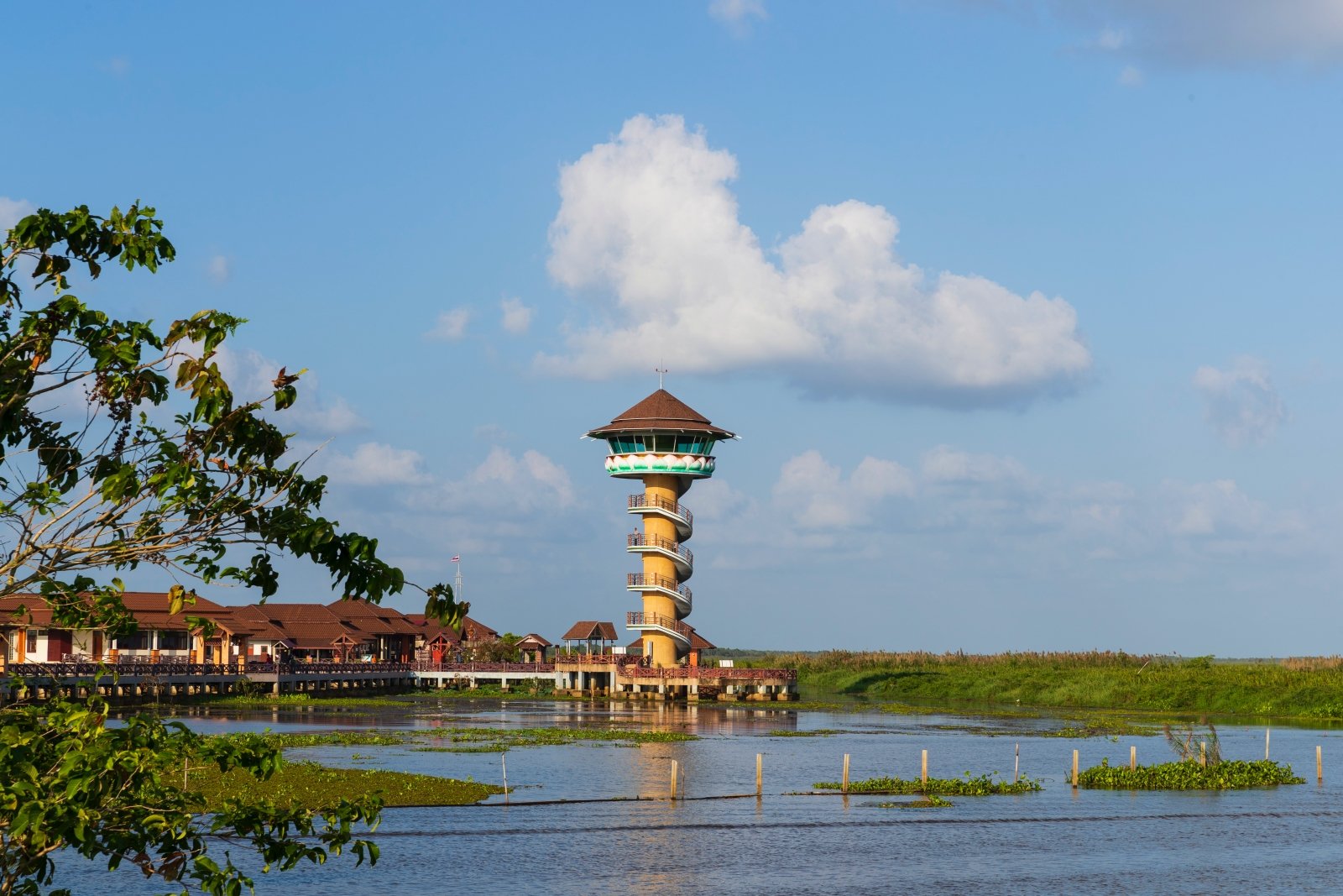 Thale Noi Waterfowl Reserve, Phatthalung - ศูนย์ศึกษาธรรมชาติสัตว์ป่าทะเลน้อย