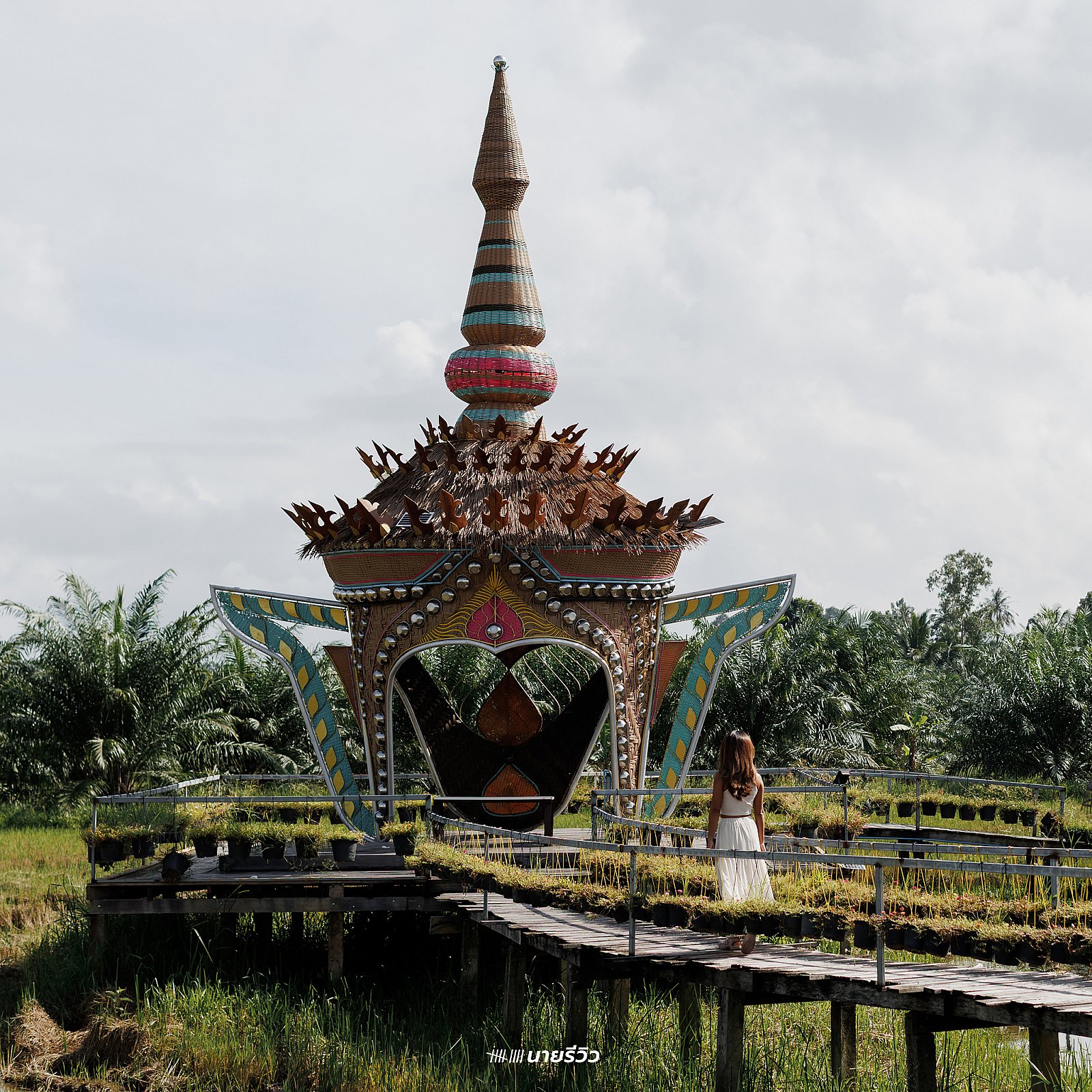 รีวิวเมืองลุง